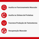 Zma Integralmedica 60 Cápsulas